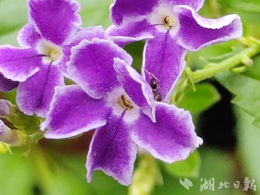 bbin网址